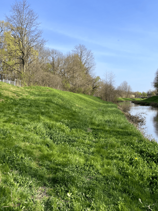 Meachem fields slope to creek's shoreline