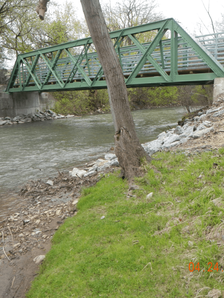 ollies point shoreline after pedestrian bridge construction